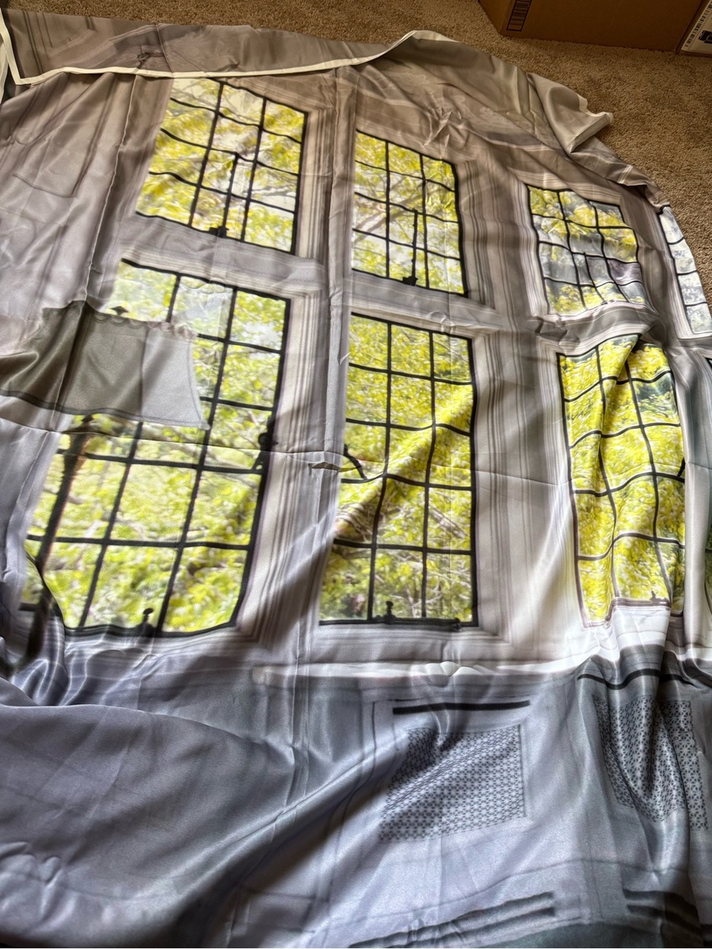 Fabric 8x6ft Spring Window Scenery Backdrop Window Outside View trees, sunshine